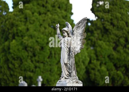 Sculpture en pierre blanche et patientée d'un ange ailé dans un cimetière, tenant une corne dans sa main gauche, avec des arbres en arrière-plan Banque D'Images