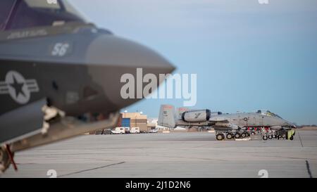 A-10 Thunderbolt IIS, de la 124th Fighter Wing de la Garde nationale aérienne de l’Idaho, s’assoit sur la ligne aérienne à Gowen Field, Boise (Idaho), le 12 mars 2022. L'avion attendait de voler et de s'entraîner avec le F-35B Lightning IIS, du US Marine corps Operational Test and Evaluation Squadron One (VMX-1). Banque D'Images