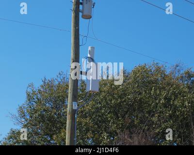 Mission de découverte sur le sentier University Crossing et vers le nord, cheminées, arbres et état des dégâts causés par la tornade Banque D'Images