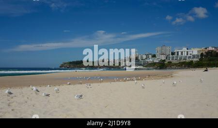 La plage de Bondi à Sydney, Australie Banque D'Images