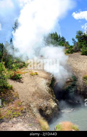 De la vapeur s'échappe des sources chaudes souterraines, à Dragon's Mouth Spring, dans le parc national de Yellowstone. Banque D'Images