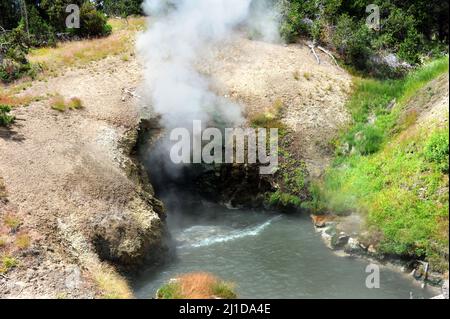 La vapeur et les vapeurs échappent à un point de repère connu sous le nom de Dragon's Mouth Spring dans le parc national de Yellowstone. L'eau coule à l'entrée de la « bouche du tragon ». Banque D'Images