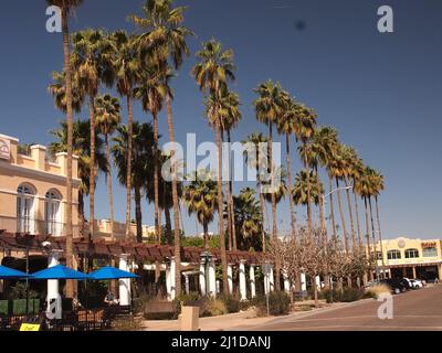 North San Marcos place dans le centre-ville de Chandler, Arizona bordé de palmiers par temps clair. Banque D'Images