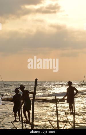 Silhouette de pêcheurs sur pilotis au coucher du soleil, sur la côte sud du Sri Lanka Banque D'Images