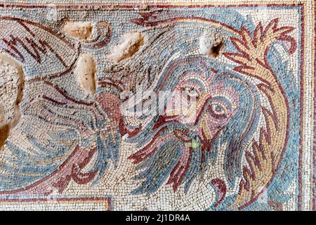 Une mosaïque colorée au Parc archéologique 2, Madaba, Jordanie. Banque D'Images