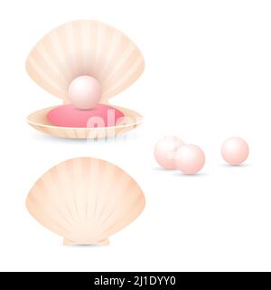 Perle rose clair en coquille. Coquillages ouverts et fermés avec de petites perles. Peut être utilisé pour des sujets comme les bijoux, la mode, le Trésor Illustration de Vecteur