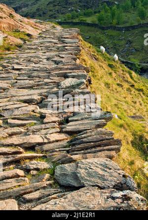 Watkin Path, à Snowdon, Gwynedd Snowdonia National Park au nord du Pays de Galles au Royaume-Uni, la fin du printemps. Banque D'Images