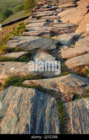 Réparation de la section de Watkin Path, à Snowdon, parc national de Snowdonia Gwynedd North Wales UK, fin du printemps. Banque D'Images