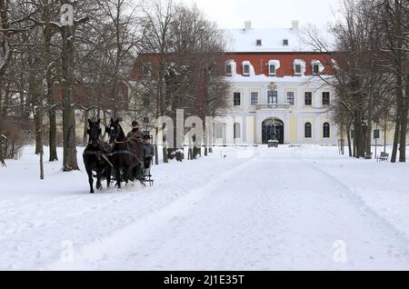 12.02.2021, Allemagne, Saxe, Graditz - Gestuet Graditz, promenade en traîneau dans la neige en face de la maison de maître de l'écurie. 00S210212D379CAROEX.JPG [MODÈLE Banque D'Images