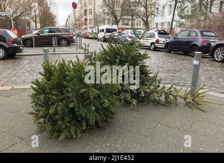 10.01.2022, Allemagne, , Berlin - les arbres de Noël désutilisés sont prêts pour la collecte par le service de nettoyage de la ville au bord de la route. 00S220110D802CAROEX.JPG Banque D'Images