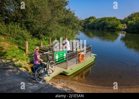 05.09.2021, Allemagne, Rhénanie-du-Nord-Westphalie, ferry Dorsten - Lippe Baldur traverse la Lippe en été. Par la puissance musculaire les personnes qui s'y sont pressionnées peuvent traverser t Banque D'Images