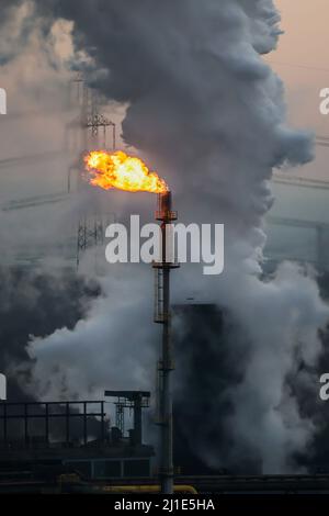 13.01.2022, Allemagne, Rhénanie-du-Nord-Westphalie, Bottrop - l'usine de cokéfaction de Prosper est l'une des trois usines de cokéfaction en exploitation dans la région de la Ruhr. Les Pros Banque D'Images