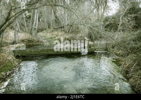 Petit cours d'eau de la rivière Dulce qui fait partie d'un parc naturel dans la province de Gaudalajara Banque D'Images