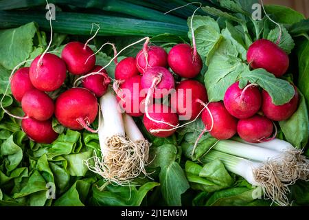 Concept alimentaire végétarien. Composition de légumes frais. Divers légumes sur une table en bois. Légumes frais disposés à bord. Nourriture végétalienne saine Banque D'Images