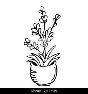 Fleurs en pots peintes ligne noire sur fond blanc. Lignes de dessin vectorielles Illustration de Vecteur