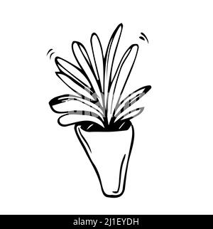 Fleurs en pots peintes ligne noire sur fond blanc. Lignes de dessin vectorielles Illustration de Vecteur