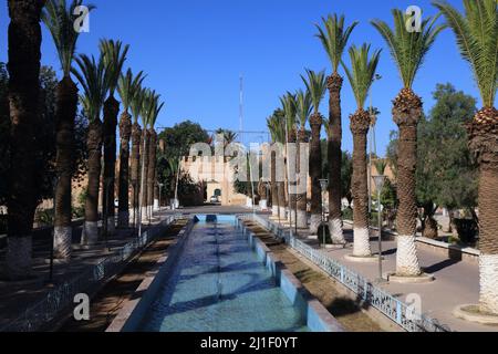 Murs de la ville et palmiers dans la ville de Taroudant, au Maroc. Banque D'Images