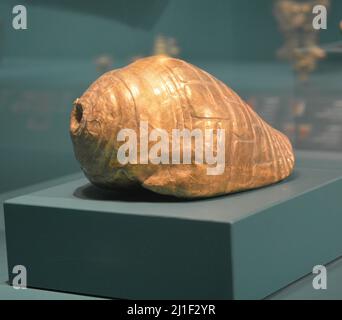 Art prétolumpien coquillages marins. Musée de Houston, Texas Banque D'Images