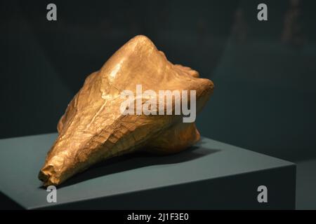 Art prétolumpien coquillages marins. Musée de Houston, Texas Banque D'Images