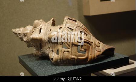 Art prétolumpien coquillages marins. Exposé dans le Museo Nacional de Antropologia Banque D'Images