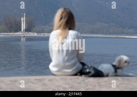 Bingen am Rhein, Allemagne. 25th mars 2022. Jolie et son chien Gigi s'assoient à l'embouchure du Nahe sur le Rhin. En arrière-plan vous pouvez voir le Bingen Mäuseturm. Credit: Sebastian Gollnow/dpa/Alay Live News Banque D'Images