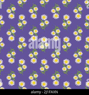 Motif sans couture de fleurs de camomille blanches avec feuilles vertes sur fond violet. Imprimer avec une guirlande de plantes sur le terrain. Illustration vectorielle plate Illustration de Vecteur