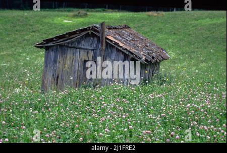 Ancienne ferme en bois déserte dans la région sormland en suède Banque D'Images