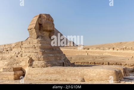 Grand Sphinx de Giza, le Caire Banque D'Images