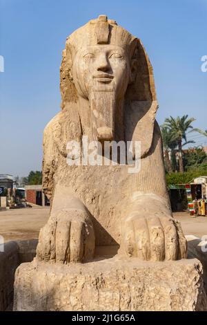 Alabaster sphinx de Memphis, Égypte Banque D'Images