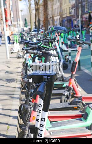 Düsseldorf, Allemagne - mars 23. 2022: Vue sur de nombreux e-scooters verts garés dans une rangée dans le centre-ville Banque D'Images