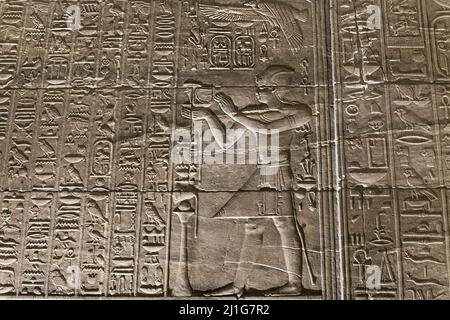 Sculptures de bas-relief et hiéroglyphes dans le Temple d'Isis à philae Banque D'Images