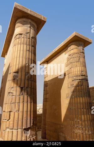 Colonnes ressemblant à des rosettes dans le Connade d'entrée du complexe funéraire de Djoser à Saqqara Banque D'Images