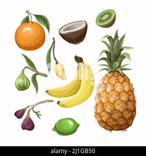 Motif sans couture avec ensemble de fruits tropicaux tels que l'ananas, l'orange, la figue, la banane, etc. Vecteur. Illustration de Vecteur