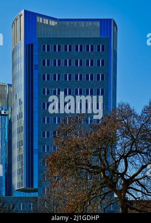 Gratte-ciel bleu « Tour de la ville » dans un ciel bleu clair à Offenbach am main, Hesse, Allemagne, un arbre au premier plan Banque D'Images