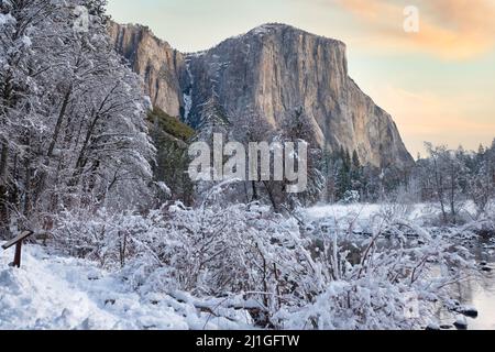 Vue sur El Capitan depuis la vallée juste après une tempête de neige, le parc national de Yosemite Banque D'Images