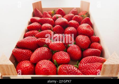 Fraises fraîches mûres dans un récipient en bois sur fond blanc Banque D'Images