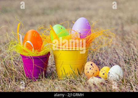 Œufs de Pâques colorés décorés dans l'herbe Banque D'Images