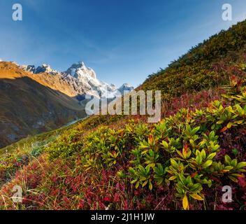 Superbes sommets enneigés du Mont Ushba dans la lumière du matin. Scène spectaculaire et pittoresque. Lieu place Svaneti, Mestia, Géorgie, Europe. Haut Caucase Banque D'Images