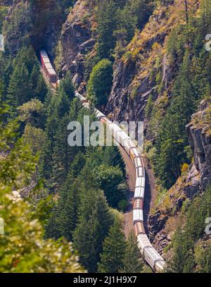 Le train traverse une montagne. Train de marchandises sur une ligne de chemin de fer sur un col de montagne. Train traversant les bois, vue aérienne. Train de cargaison avec fu Banque D'Images