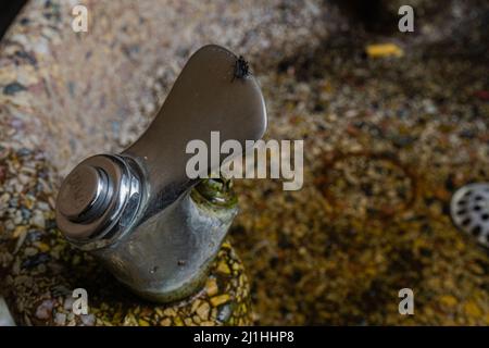 Fontaine à boire avec mouche noire assise sur le rebord du protège-bouche devant la vieille fontaine. Banque D'Images