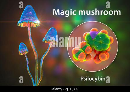 Champignons magiques et molécule de psilocybine, illustration Banque D'Images