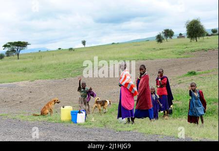 Maasai dans la région d'Arusha, dans le nord de la Tanzanie. Banque D'Images