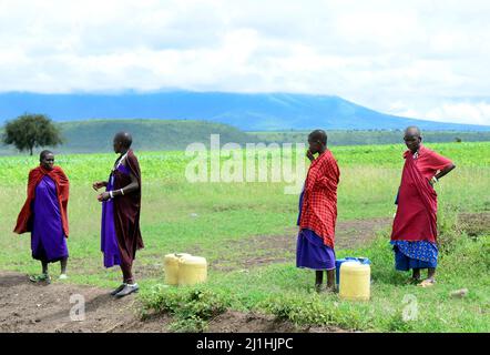 Maasai dans la région d'Arusha, dans le nord de la Tanzanie. Banque D'Images