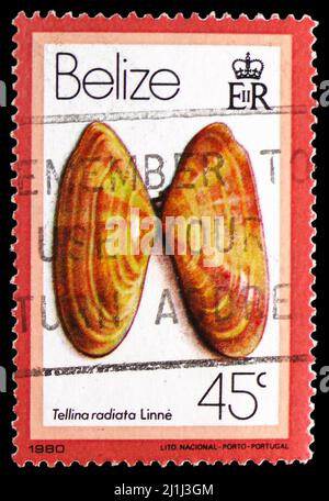 MOSCOU, RUSSIE - 12 MARS 2022: Timbre-poste imprimé au Belize montre Sunrise Tellin (Tellina radiata), coquillages et escargots de mer, vers 1980 Banque D'Images