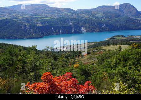 Feuillage coloré à serre Ponçon, Alpes du Sud, France avec le lac Banque D'Images