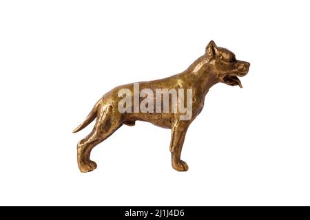 figurine de terrier de taureau à fosse en bronze isolée sur fond blanc. Photo de haute qualité Banque D'Images