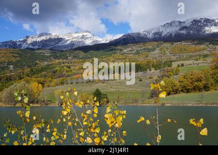 Feuillage coloré à serre Ponçon, Alpes du Sud, France Banque D'Images