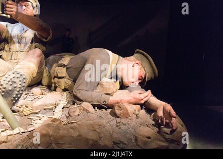 Nouvelle-Zélande, Wellington - janvier 11 2020 : exposition la vue de Gallipoli, Musée te Papa le 11 2020 janvier à Wellington, Nouvelle-Zélande. Banque D'Images