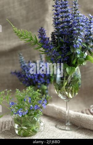 Bouquets de fleurs bleues de la forêt dans des vases en verre sur fond de toile de fond. Ajuga reptans ou bugle, bugleweed, bleu bugle fleurs avec une branche verte Banque D'Images