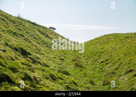 Offa's Dyke : section sur le versant ouest de Llanfair Hill Banque D'Images